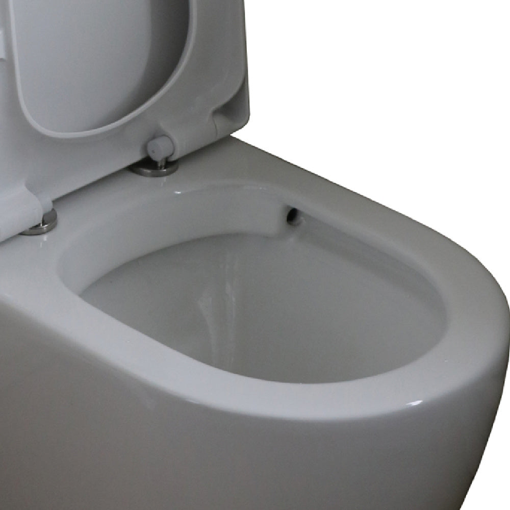 Rose & Stone Harlow | Rimless Back To Wall Toilet Suite Thick Seat