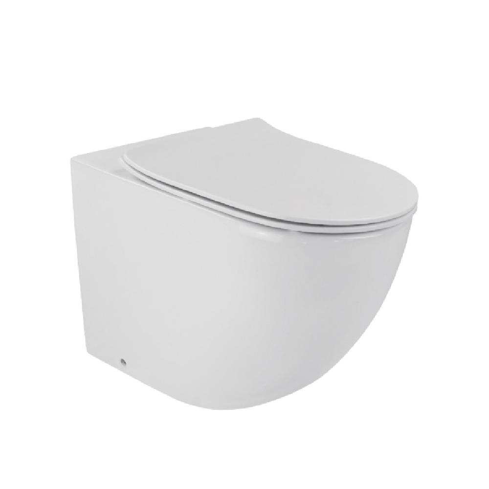 Rose & Stone Harlow | Rimless Floor Mount Toilet With Slim Seat