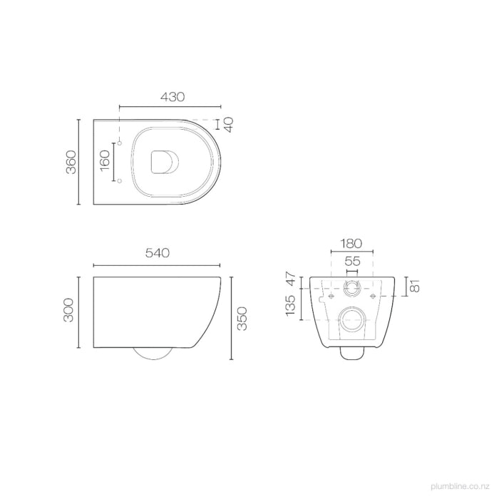 Zen II | Rimless Wall Hung Toilet With Thick Seat Matt White