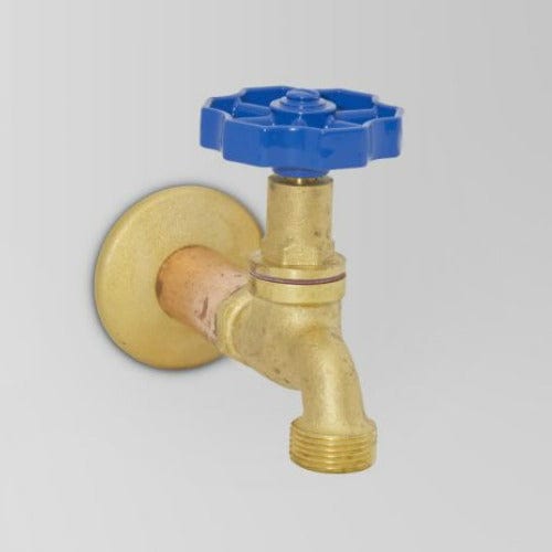 Astra Walker Bathroom tapware Astra Walker Eden Bib Tap | Blue Handle