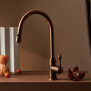 Astra Walker Kitchen Tap Astra Walker Signature Gooseneck Sink Mixer with Dual Function Pull Out Spray