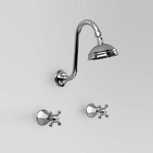 Astra Walker Showers Astra Walker Classic Shower Set with 100mm Rose