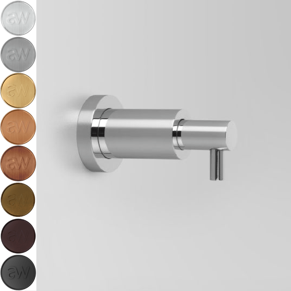 Astra Walker Kitchen Accessories Astra Walker Icon In-Wall Soap Dispenser 95mm