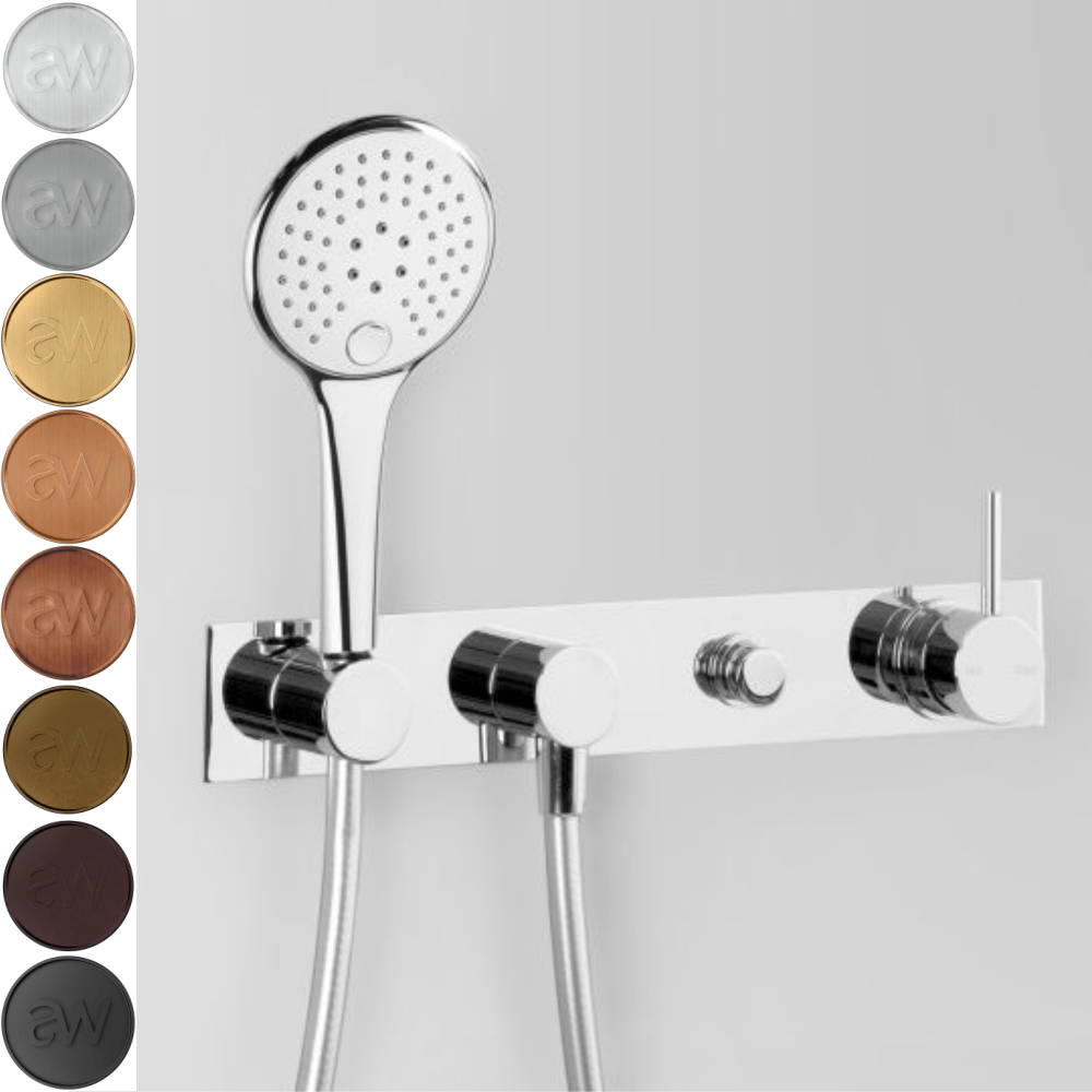 Astra Walker shower Astra Walker Icon Multi-Function Hand Shower & Mixer with Diverter on Backplate