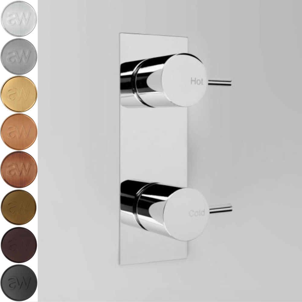 Astra Walker Wall Mixers Astra Walker Icon Wall Tap Set on Backplate Offset