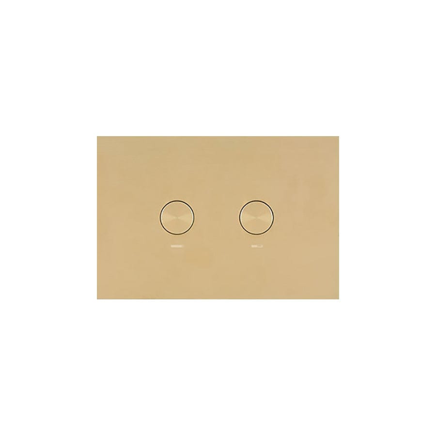 Plumbline Flush Plate Oli Flush Panel | Brushed Brass