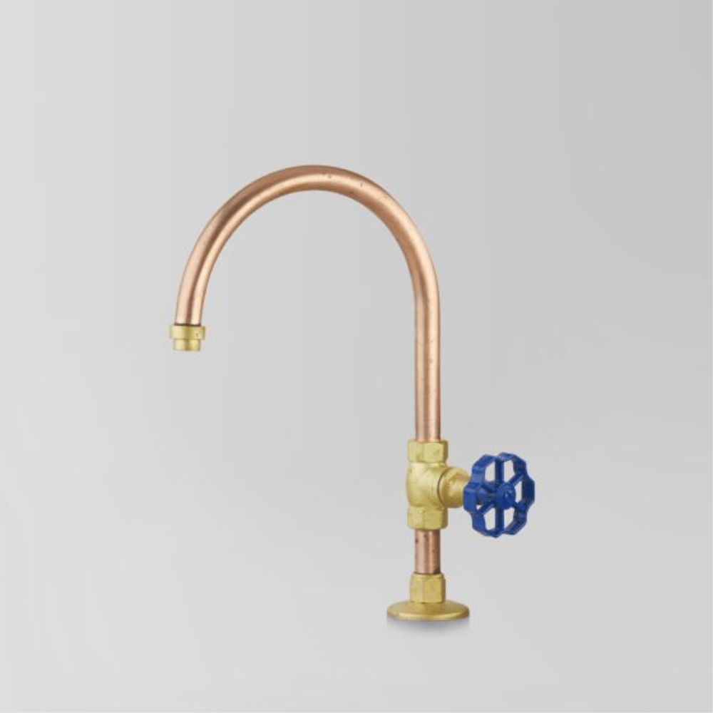 Astra Walker Basin Taps Astra Walker Eden Pillar Tap | Blue Handle
