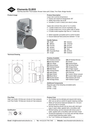 The Watermark Collection Wall Mixers The Watermark Collection Elements Mini Thermostatic Shower Mixer with Diverter | Bridge Insert