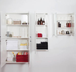 Progetto Bathroom Accessories Vista 600 Mirror Cabinet